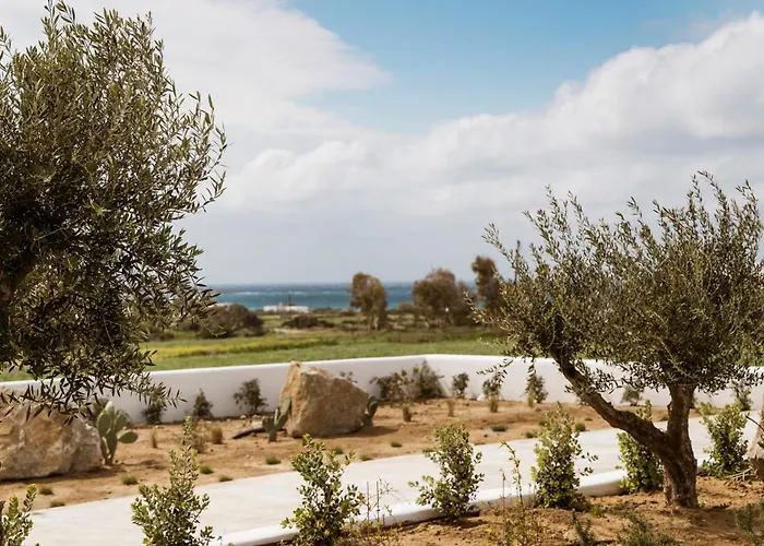 P Square Luxury Naxos